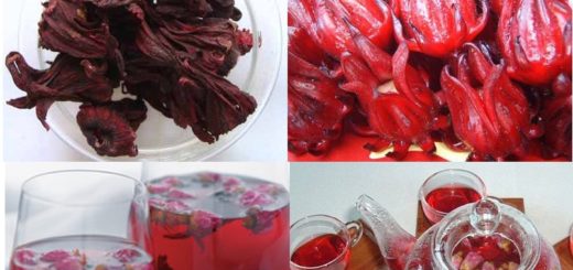 Benefits of Hibiscus hair mask