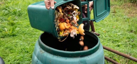 10 Household Items You Should Be Composting